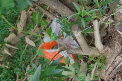 DSC02025