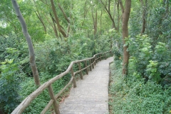 DSC02028