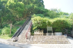 DSC02075