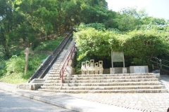 DSC02076