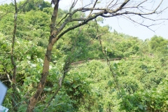 DSC02078