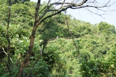 DSC02079