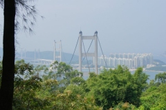 DSC02102