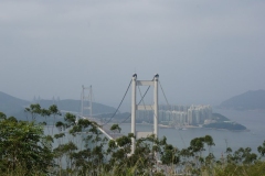 DSC02113