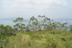 DSC02117