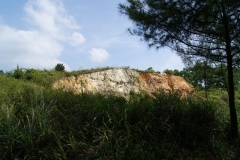 DSC02118
