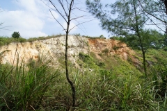 DSC02119