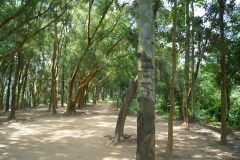 DSC02126