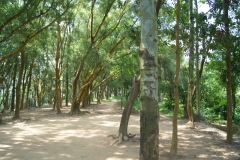 DSC02127