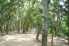 DSC02128