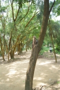 DSC02178