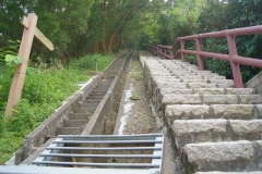 DSC02322