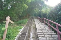 DSC02323