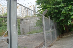 DSC02324