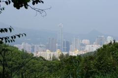 DSC02336