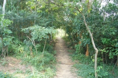 DSC02339