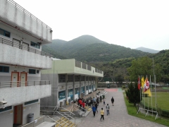 SAM_1329