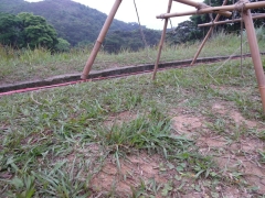 SAM_1400