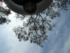 SAM_1565