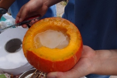 P7020333