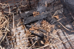 P7020350