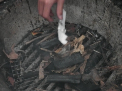 SAM_2026