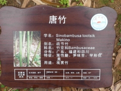 SAM_2207