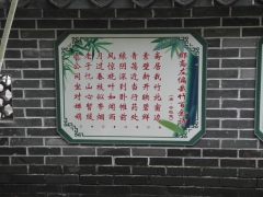 SAM_2230