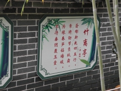 SAM_2235