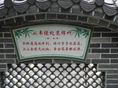 SAM_2241