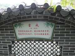 SAM_2246