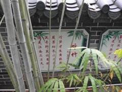 SAM_2247