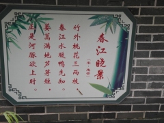 SAM_2248