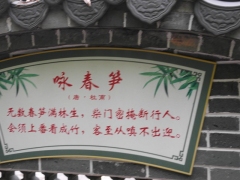 SAM_2250