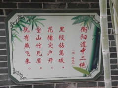 SAM_2253