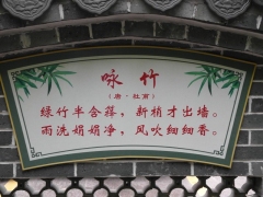 SAM_2254