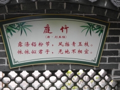 SAM_2259