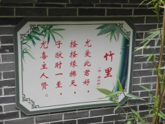 SAM_2261
