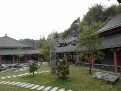 SAM_2265