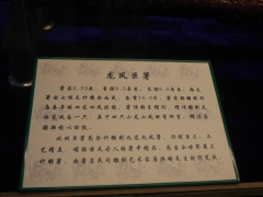 SAM_2268