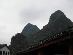 SAM_2350