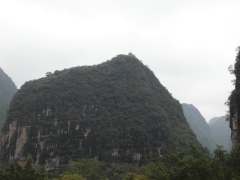 SAM_2358