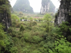 SAM_2385