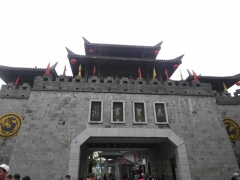 SAM_2446