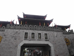 SAM_2447