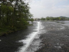 SAM_2465