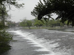 SAM_2466