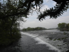 SAM_2467