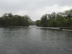 SAM_2469