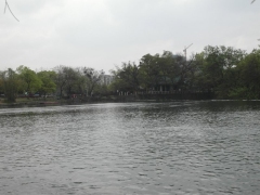 SAM_2470